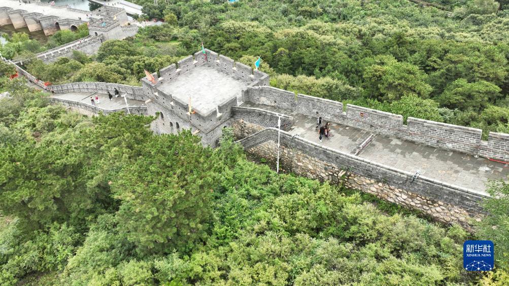 实力通宝下载